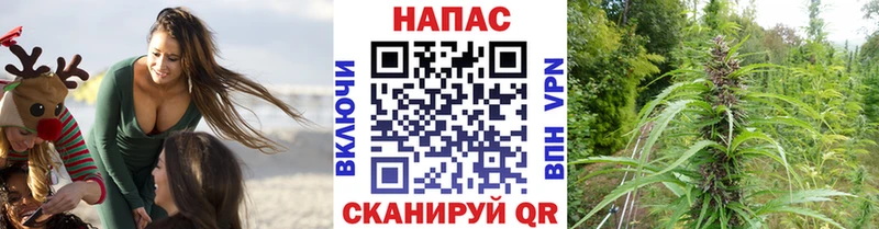 Все наркотики Нижний Новгород Бошки Шишки Кокаин Гашиш Альфа ПВП Мефедрон