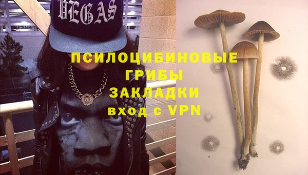 амф Нефтегорск
