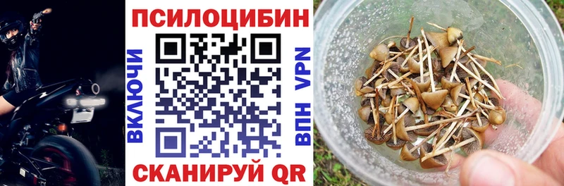 цены наркотик  Нижний Новгород  Галлюциногенные грибы мухоморы 