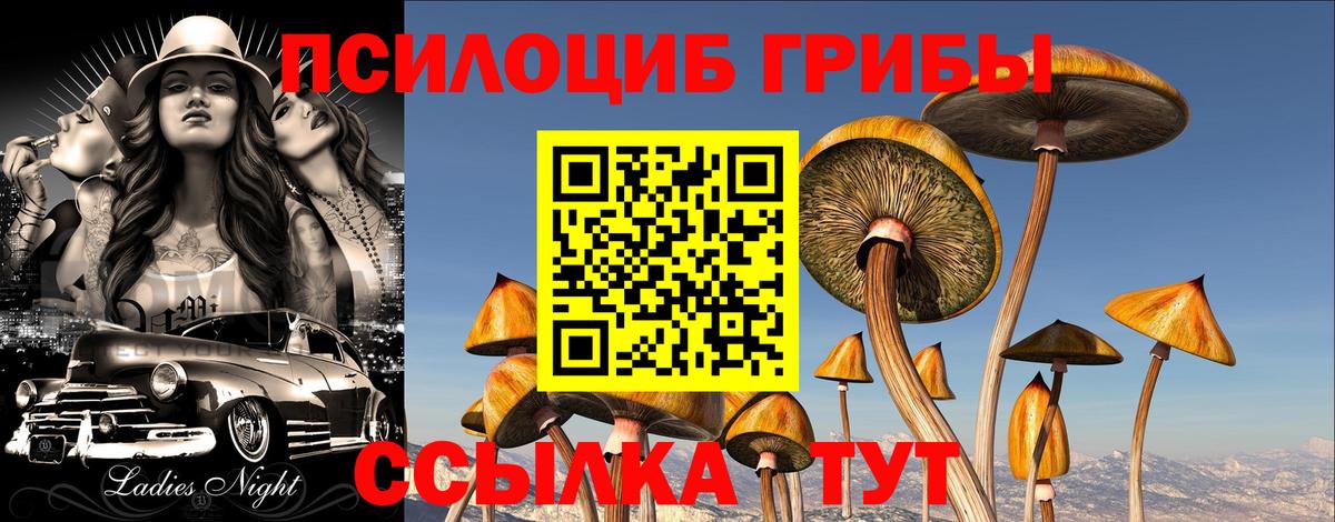 Нижний Новгород  Псилоцибиновые грибы мухоморы  Псилоцибиновые грибы Cubensis  Вход с VPN 